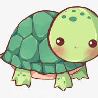 Tortoise