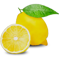 Krasny_Fakel